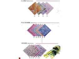 新疆貿(mào)易 古絲綢之路上的現(xiàn)代商業(yè)樞紐